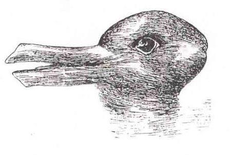 A duck or a rabbit